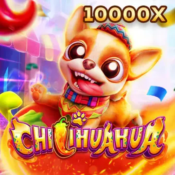 Fa Chai Chi Huahua